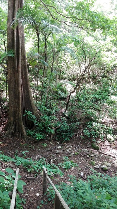 Photos of Reserva Cerro De Caballito