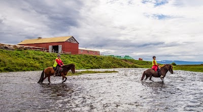 Photos of Galsi horse rental