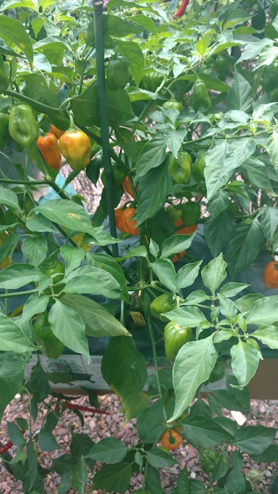 Photos of Nobles Greenhouse & Nursery