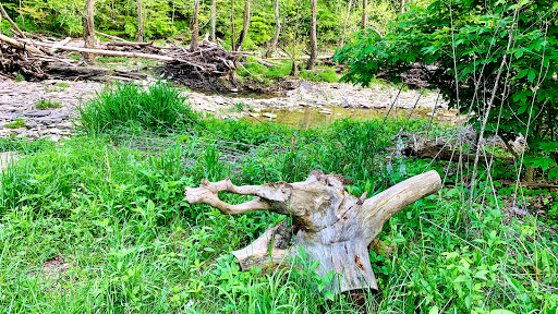 Gunpowder Creek Amphitheater - Thumbnail