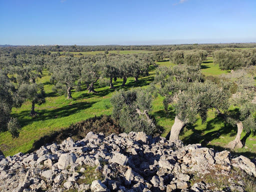 Specchia Castelluzzo - Visual