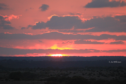Wilkinson Ranch - Visual
