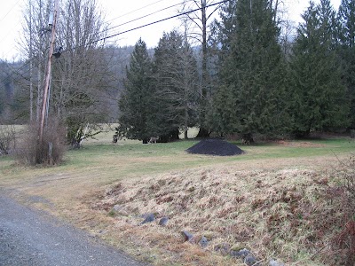 Photos of Ovenell's Heritage Inn