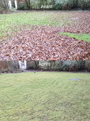 Photo de Dream Garden - Jardinier, Paysagiste - Création & Entretien à Santeny (94440)