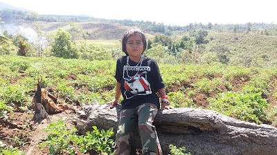 Photos of Ladon Da Ai'ih