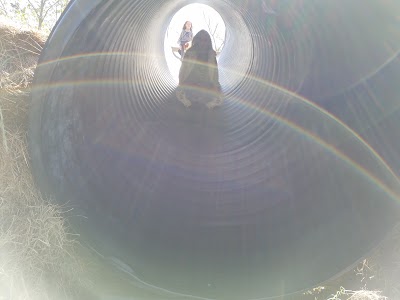 Photos of Maze Craze