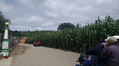 Photos of Puma gas station Chirijuyu