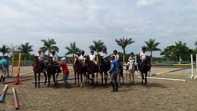Photos of Riding Academy Z