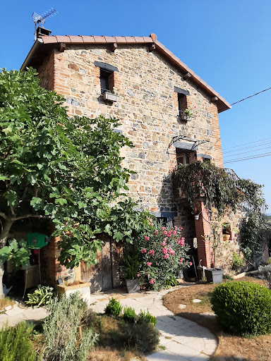 Photo de Gîte et Maison d'hôtes des 2 chênes à Bessenay (69690)