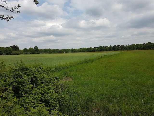 Strijbeekse Heide