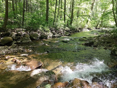 North River Gorge Trail