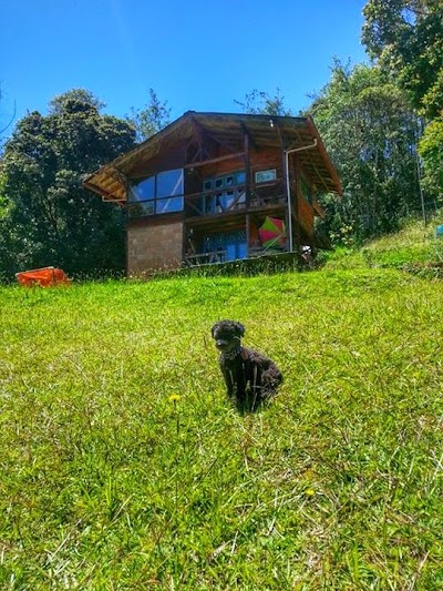 Photos of Rueda Libre Travel