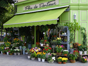 Photo n°21 de Pois de Senteur à Dijon (Fleuriste)