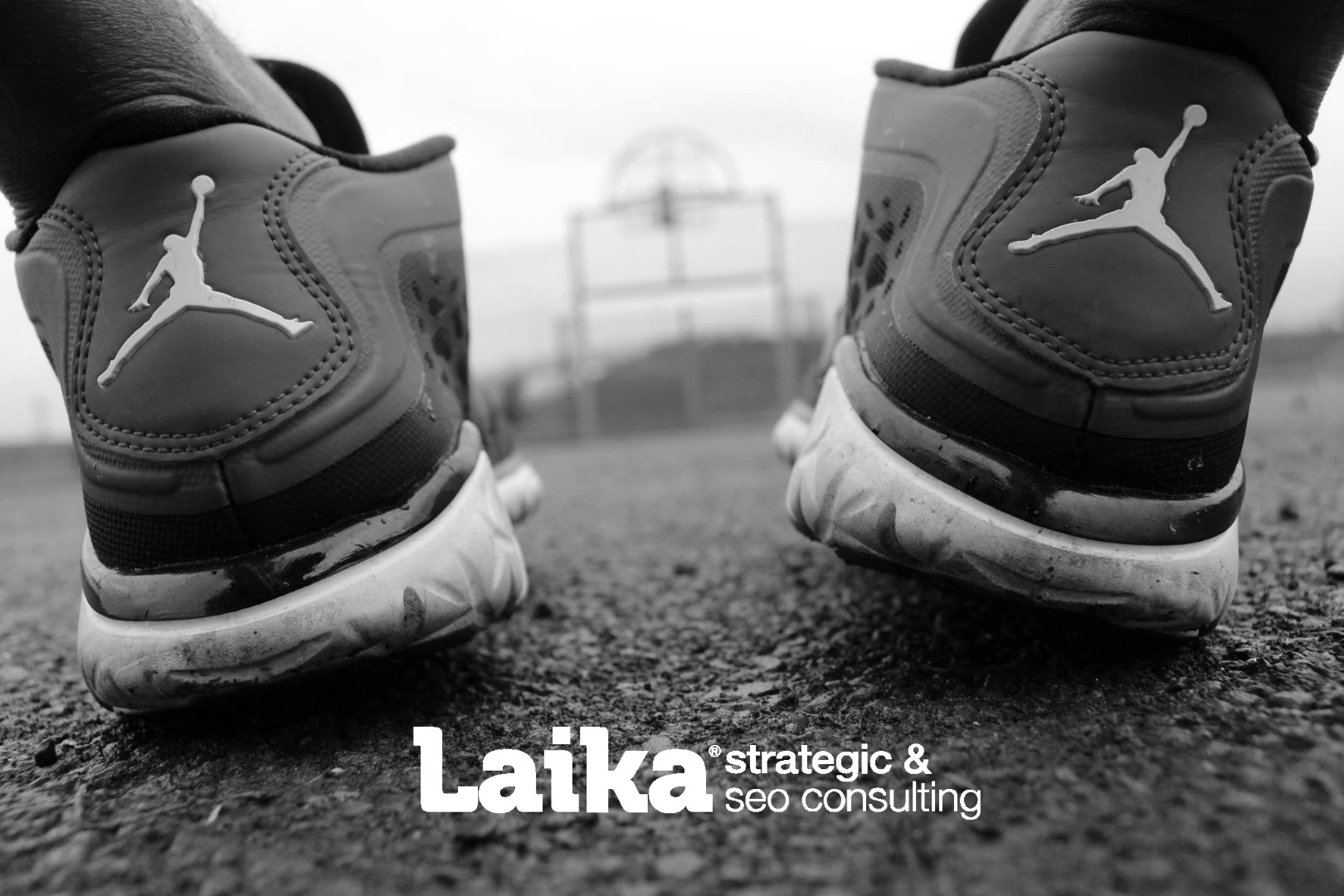 Laika Team
