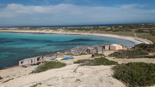 Platja de Ses Illetes