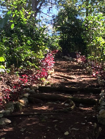Photos of Finca Los Lirios & Finca Dulcikaf&eacute;