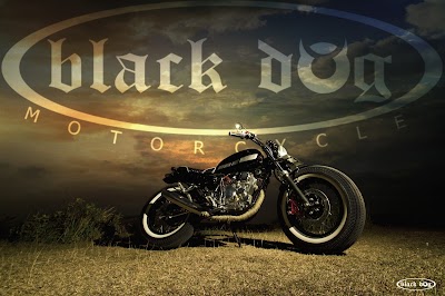 Photos of BlackDog Motor Studio - Masohi