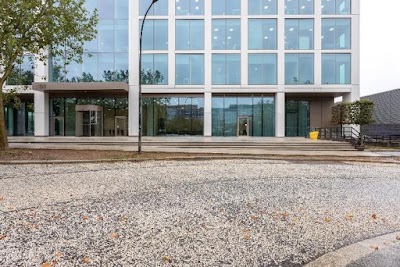 Allcott Associates LLP