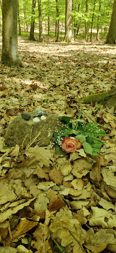 Waldfriedhof Eichenhain - Thumbnail