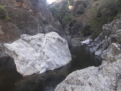 Photos of La Charca de las Nutrias
