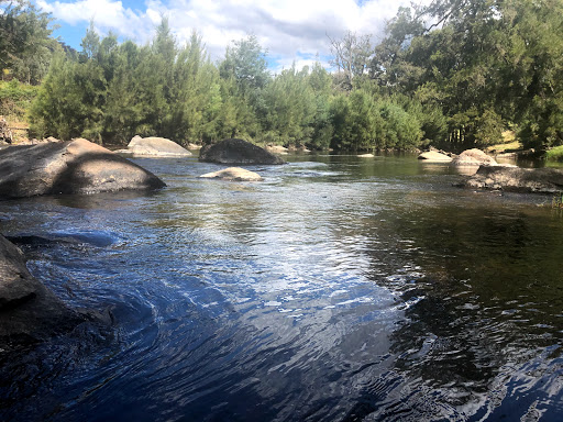 Swinging Bridge Reserve - Thumbnail