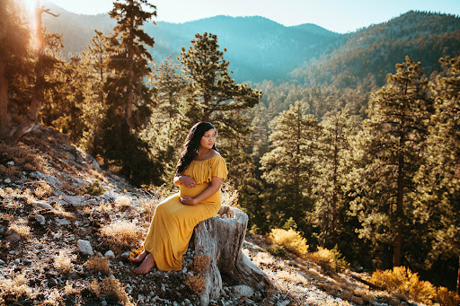 Sarah Beth Chamberlain Photography - Thumbnail