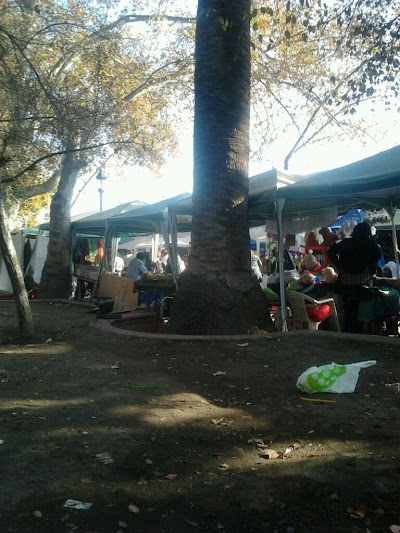 Photos of Municipality of San Bernardo