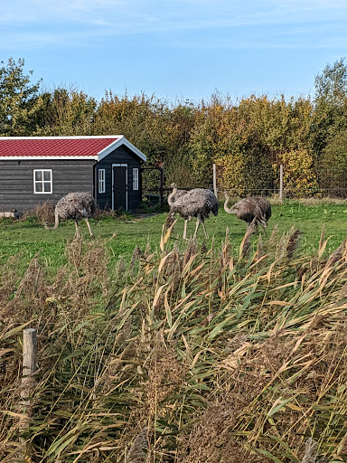 Camping Het Eiland - Visual