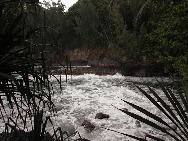 Hawaii Tropical Botanical Garden