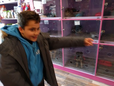 Photos of Lucky Pet Shop