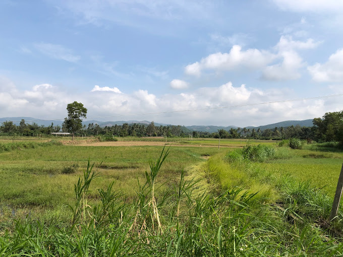 Cầu Tay Dịn Vườn Đạo, Hoài Châu Bắc, Hoài Nhơn, Bình Định