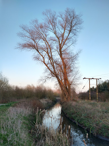Bottesford Beck Bridleway - Thumbnail