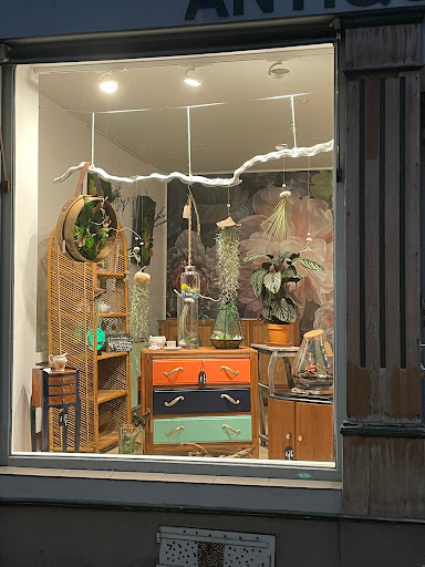 Hestia Concept Store
