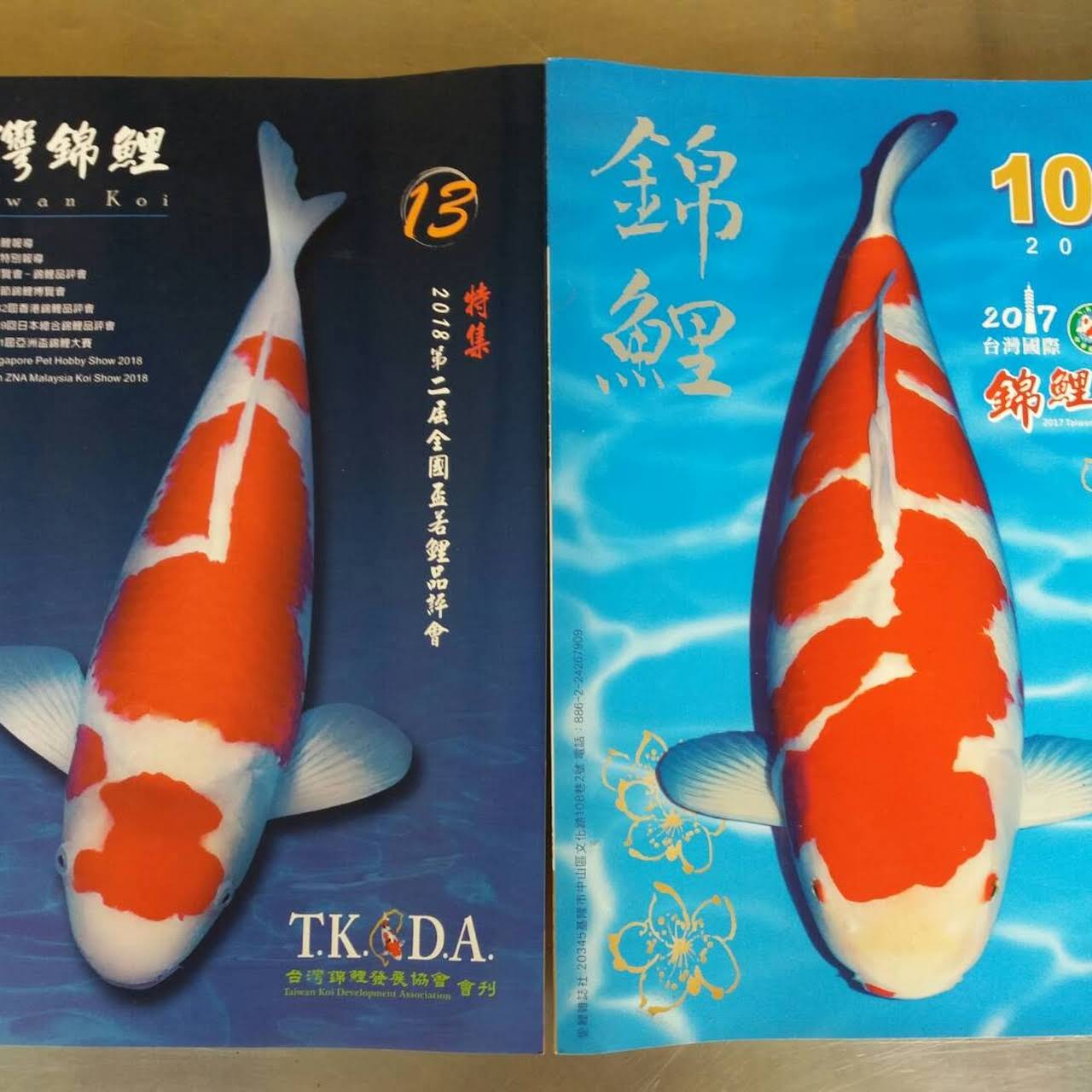 八億錦鯉場 養殖魚場 錦鯉場 錦鯉養殖場 錦鯉繁殖場 Koi Fish Farm