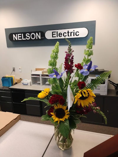 Nelson Electric Company