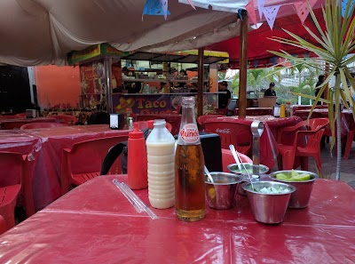 Photos of Taco Queto