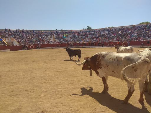 Plaza de Toros de Santisteban del Puerto