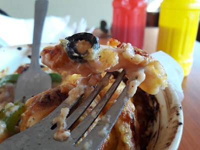 Photos of Hungry Bird