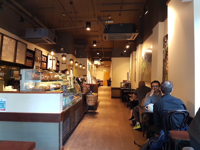 Starbucks Coffee