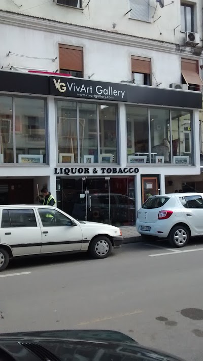 VivArt Gallery
