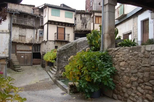 El Pino Vut.