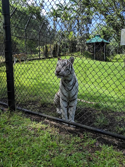 Panaewa Rainforest Zoo