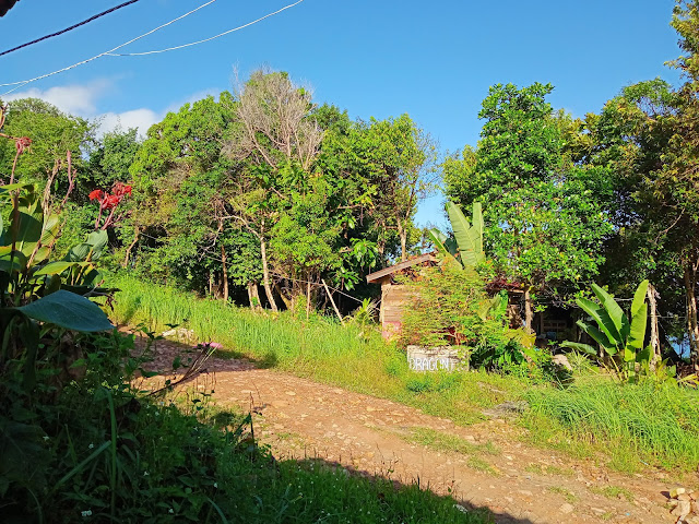 Dragonfly Guesthouse/Restaurant/Bar by null