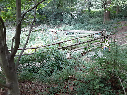 Washington Park Bog Garden - Thumbnail