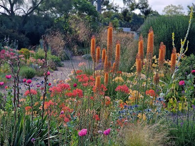 Beth Chatto's Plants & Gardens