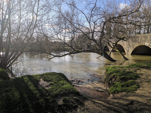 Wolvercote Bathing Area - Visual