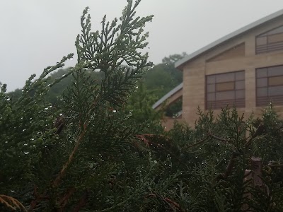 Photos of Ladera Resort