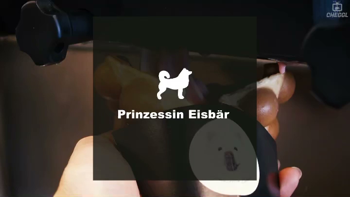 Prinzessin Eisbär