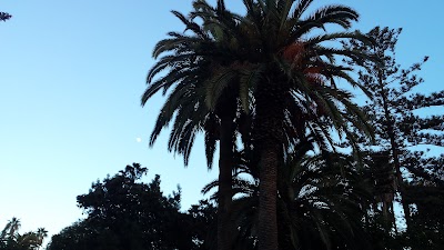 Photos of 18 Novembre Garden