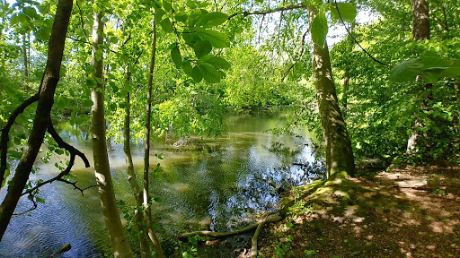 Dellwiger Bach - Thumbnail